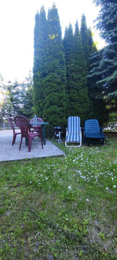 Apartamenty Z Ogrodem Nr 1 Studio Mrągowo Buitenkant foto